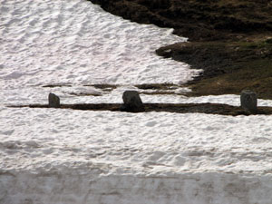 Alcune pietre del Cromlech